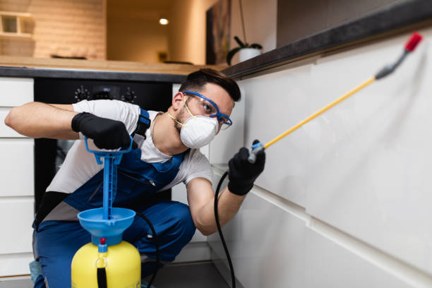 Best Pest Prevention Services  in Palacios, TX