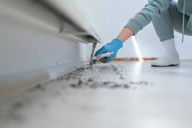 Best Ant Control Services  in Palacios, TX